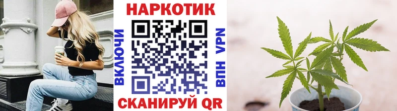 Как найти закладки Приволжск Alpha PVP  Экстази  Мефедрон  ГАШ  Конопля 
