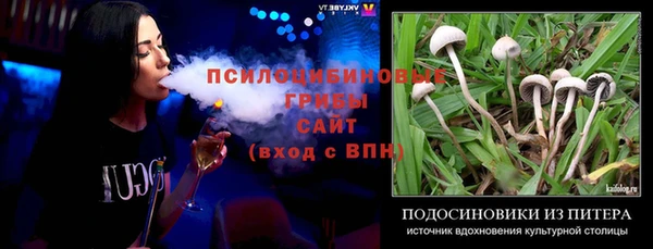 молекула духа Апатиты