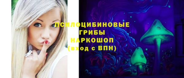 spice Медвежьегорск