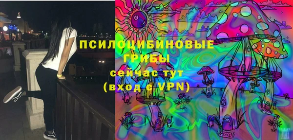 тгк Анива
