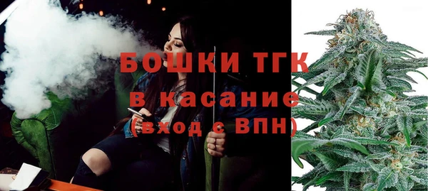 крисы Мегион