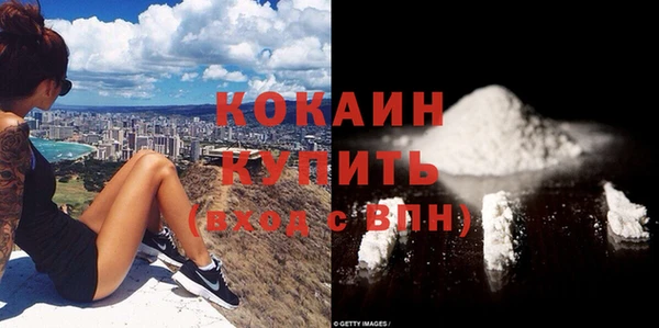 крисы Мегион