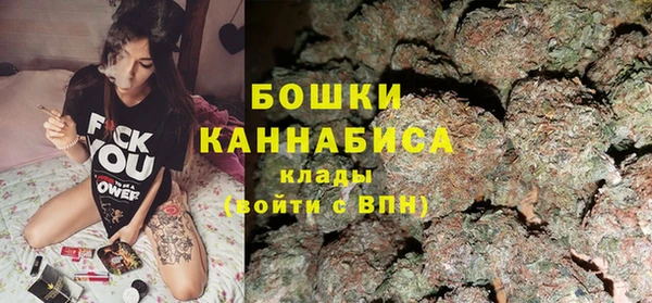 крисы Мегион