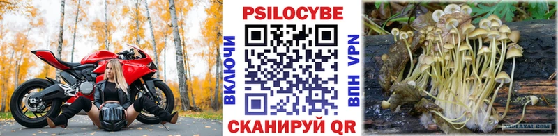 блэк спрут ТОР  Приволжск  Псилоцибиновые грибы Psilocybine cubensis  хочу  